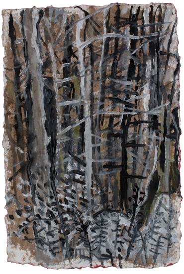 Anna Dibble works on paper 2025 Summer Woods
