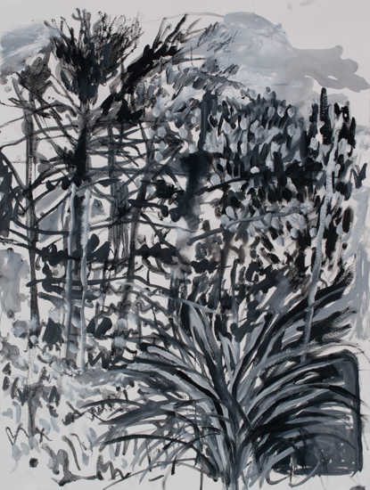 Anna Dibble works on paper 2025 Summer Woods II
